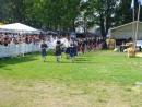 6. Scottish Highland Games